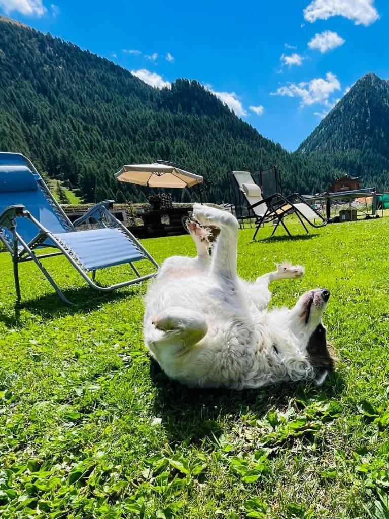 Chalet Sunshine Livigno Buitenkant foto